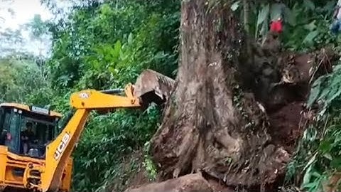 jcb vs. big tree stump || jcb vs tree trunk