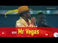 Mr Vegas - Rebel Salute 2019 (Full Performance)