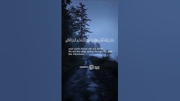 تلاوة تريح القلب #قرآن كريم #نغم_الآيات