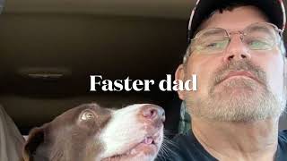 Rest In Peace, Penny Marié, Best shop dog in USA by The Peterbilt trucker Chuck 19 views 2 years ago 4 minutes, 26 seconds