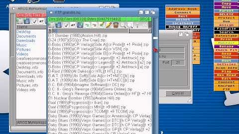 Running a C64 game on next Icaros Desktop