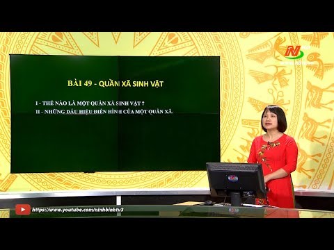 Video: Một quần xã sinh vật bãi biển trông như thế nào?