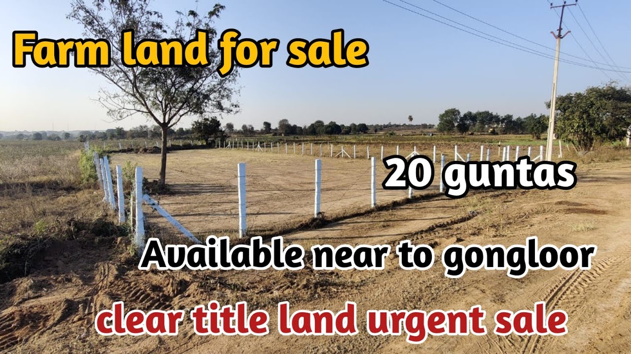 Farm land for sale 20 guntas land near to gongloor clear title