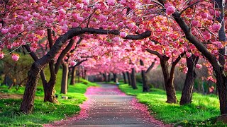ВОССТАНОВЛЕНИЕ НЕРВНОЙ СИСТЕМЫ 🌿 Нежная музыка, успокаивает нервную систему и радует душу #14