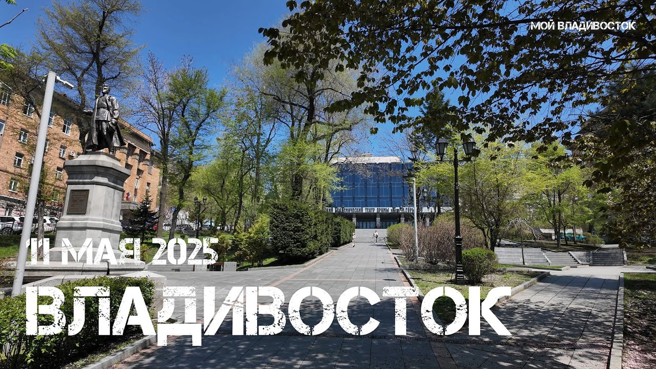Владивосток деревья в цвету (11 мая 2025).