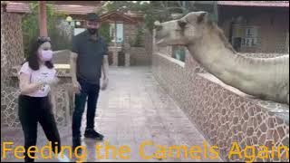 Download lagu An Naman Zoo Barka, Oman