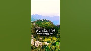 تلاوة خاشعة قرأن كريم راحة نفسية #تلاوة #elmulquranعلم #duet #trend #aslam #اكسبلور #المصحف
