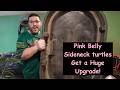 Pink Belly Sideneck Turtles get a Huge Upgrade