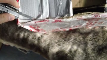 denon pma710ae unboxing video