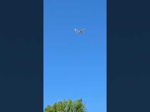 Highlight 0:00 – 4:19 from นานๆที แวะมาดูกิจการของครอบครัว 😂😂🇦🇺 #ฟาร์ม #animals #nature #happy #Wow