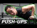 Push-Ups: Basic or Based?