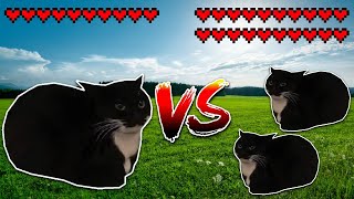 Giant Maxwell cat vs 2 midgets Maxwell cats! Meme battle