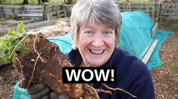 The Giant Parsnip (2019)