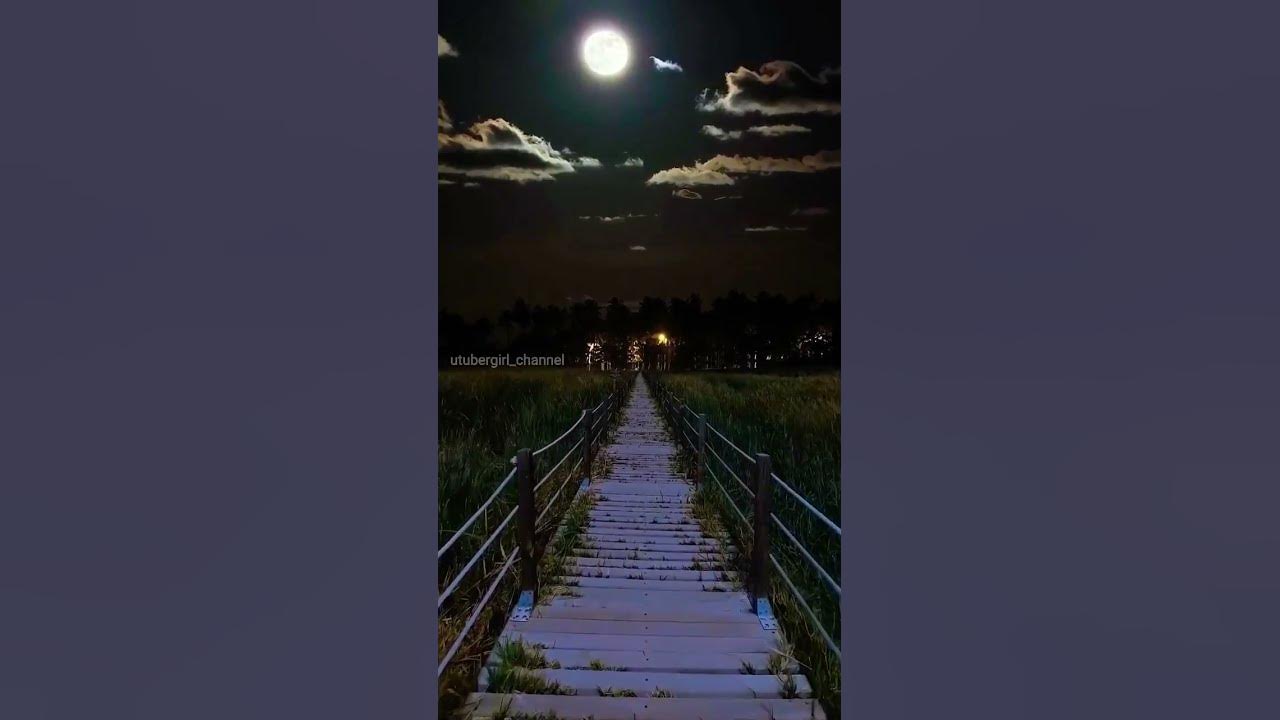 walking-in-the-moonlight-i-m-thinking-of-you-nightview-nightvibes