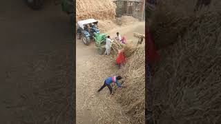 Kkyu Bagru Kuti Masin Sonalika 745