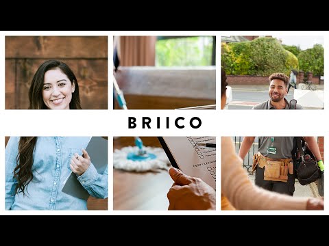 Briico Biz Program   Online Platforms SPAN 2