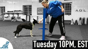 Teaching Independent Backside Slices And Wraps - Dog Agility Videos