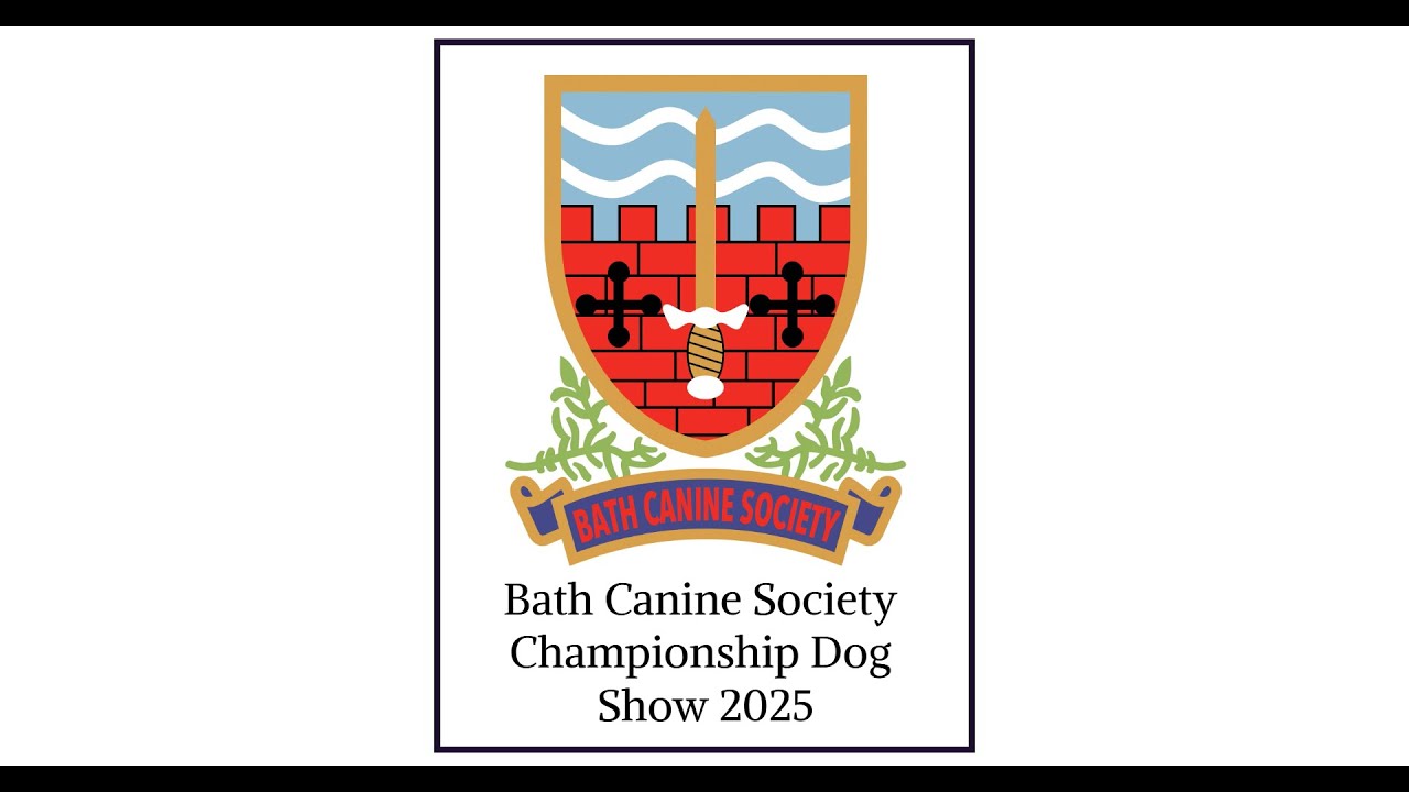 Bath Canine Society Championship Dog Show 2025 Day 4 Working & Pastoral ...