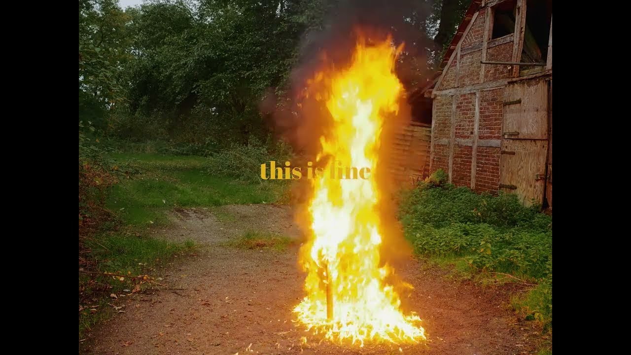 Catapults - "This Is Fine." - Official Lyric Video (Uncle M Music)