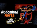 Abdominal Aorta (Branches + Mnemonics)