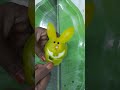 art#fruit#food#mosambi#simple mosambi rabbit carving art#mosambi rabbit cutting trick garnish ideas.