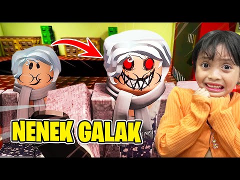 LEIKA DIKEJAR NENEK GALAK 😨😨 MAIN ROBLOX WEIRD GRANDMA [ROBLOX INDONESIA]