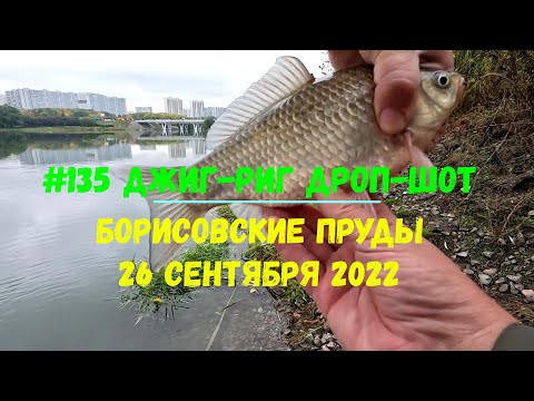 #135 Джиг-риг Дроп-шот Борисовские пруды 26 сентября 2022