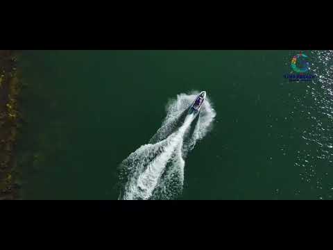 Gandhi Sagar Forest Retreat | Ultimate Adventure & Luxury Camping Experience in Madhya Pradesh