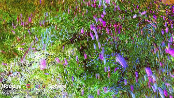 Houdini - Colorful Sphere