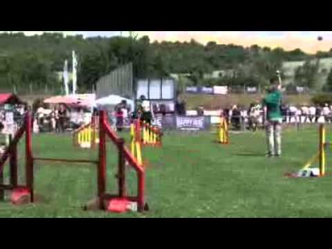 knpv berger hollandais Franka vom Schloß Gnaden SV DJJM