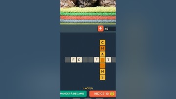 SOLUTION Wordalot débutant pack 1