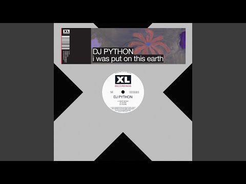 DJ Python — Marry Me Maia