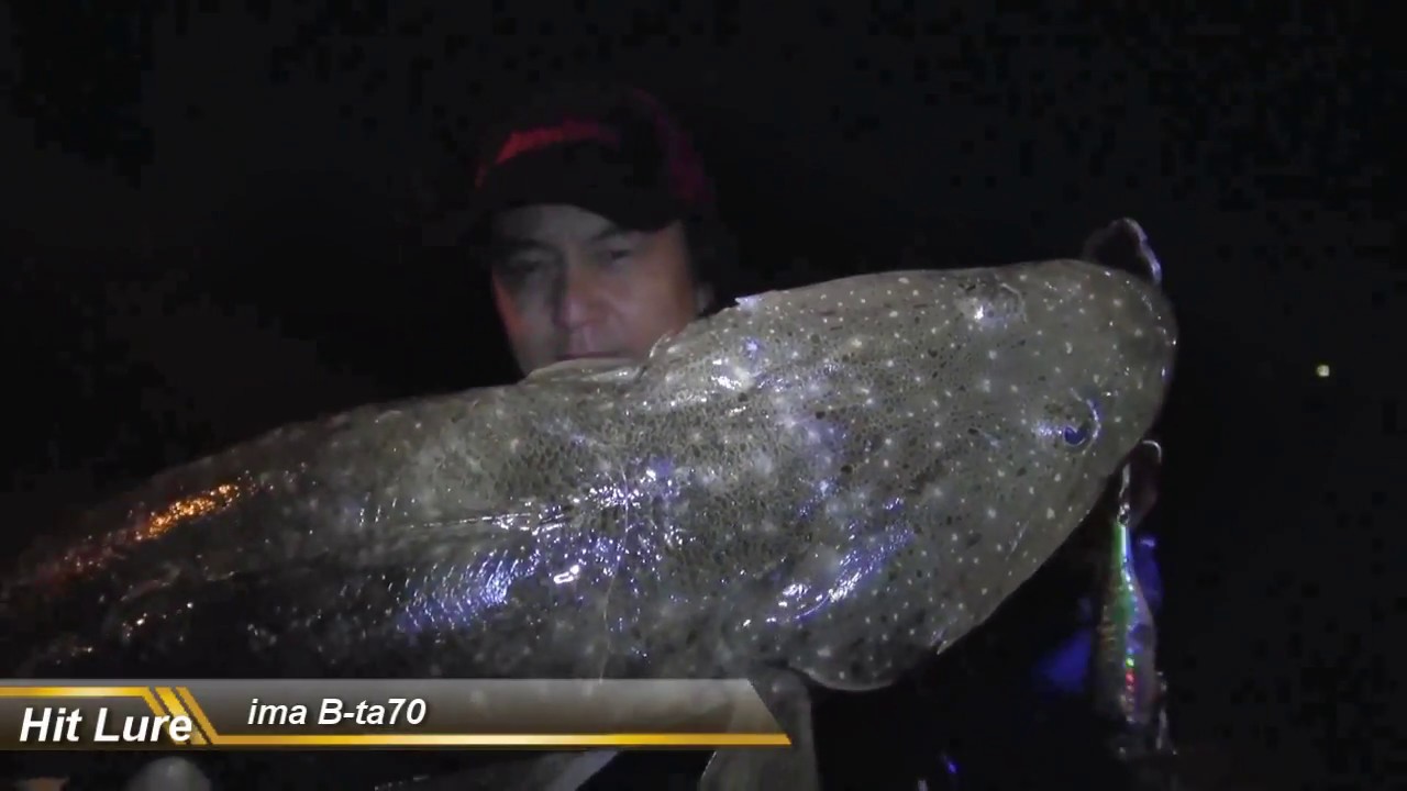 Gold Coast Flathead on hardbody lure YouTube