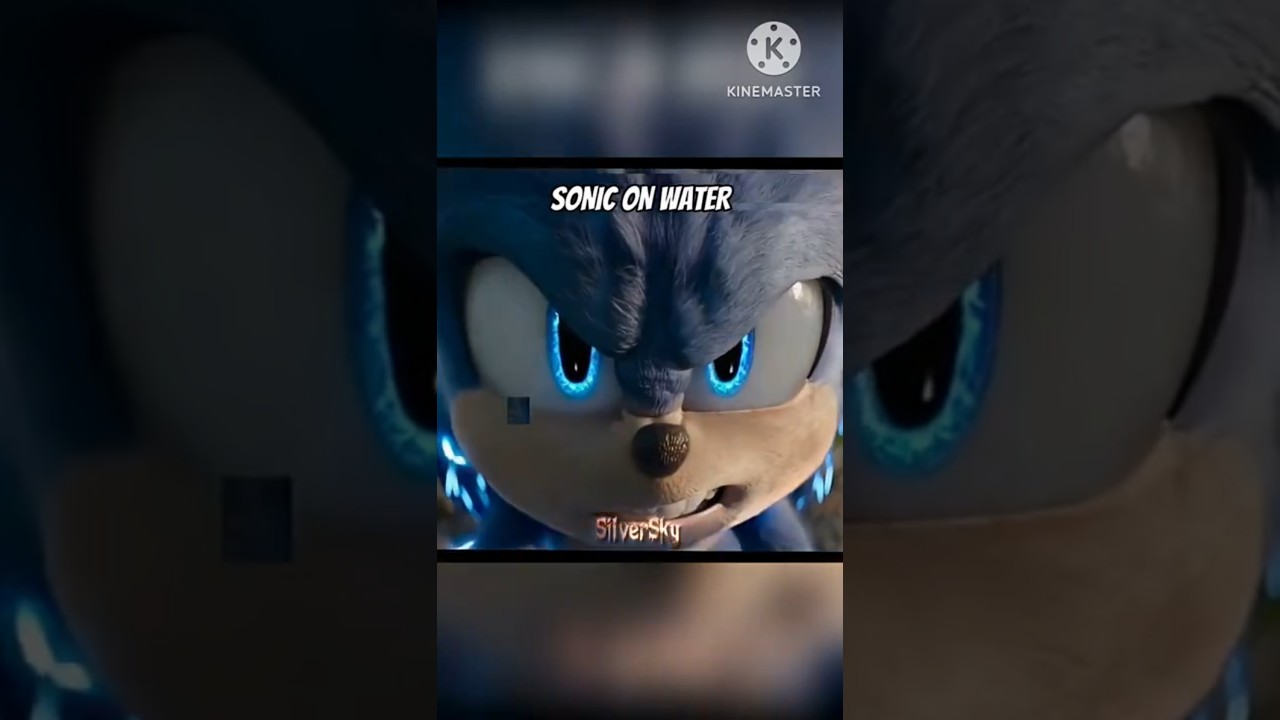 Sonic Walking On Water 🌊 || Noche Eterna || 