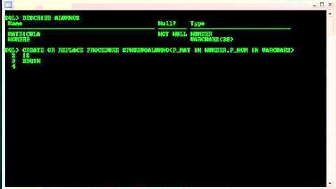 ORACLE Video No. 11/11 PROCEDIMIENTOS ALMACENADOS