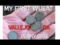 Metal detecting Vallejo wheat penny coin spill #metaldetecting #foryou
