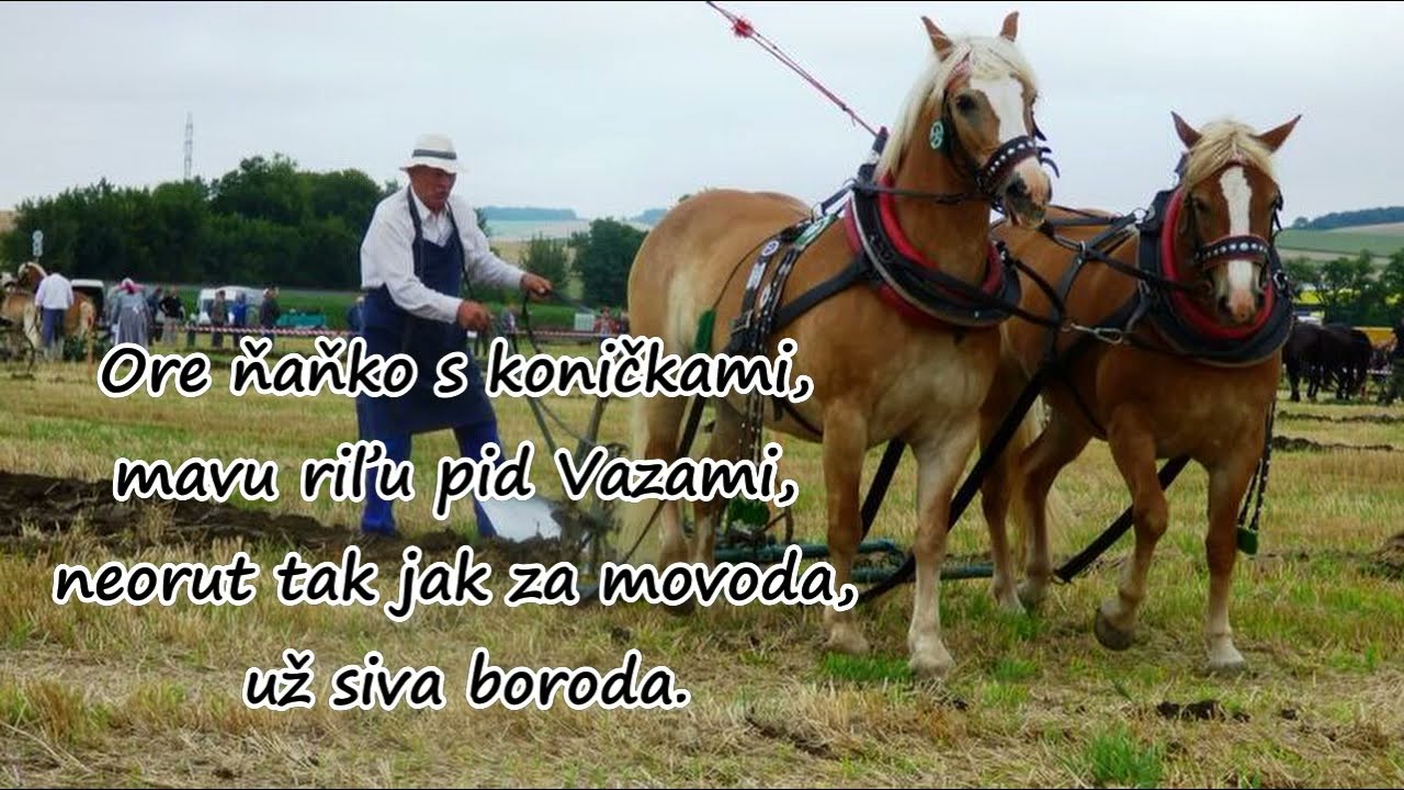Daniel Piter-Bučko - Ore ňaňko s koničkami /2023 (lyrics)