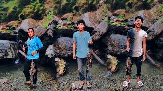 Today Catching Asla Fish And Toad Hunting(कालो पाहा) #youtube #youtubevideo #viral #viralvideo