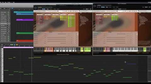 NEW: **Studio Series** VSL SYNCHRON-ized Plucked Instruments - Screencast