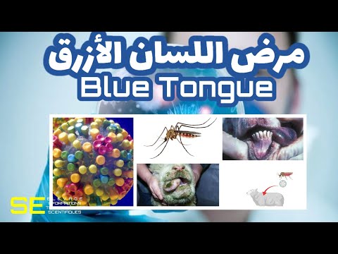 مرض اللسان الازرق   