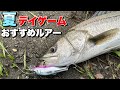 夏のシーバスデイゲームにおすすめルアー！