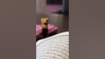 يريدون أن يتحاكموا إلى الطاغوت وقد امرو أن يكفرو به/تلاوة خاشعة أبو بكر حفظه الله مقاطع 🤍