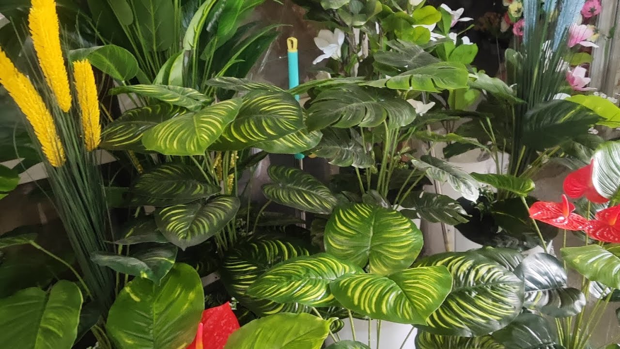 Стрессга тушмайдиган гуллар