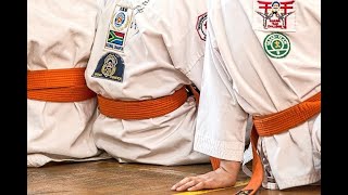 BJJ Reddit video