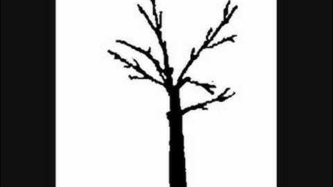 The Black Unity Tree I see