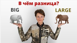видео: Big или Large – В чем разница?-  Confusing words  – DA English картинка: Big или Large – В чем разница?-  Confusing words  – DA English