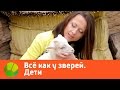 Все как у зверей. Дети | Живая Планета