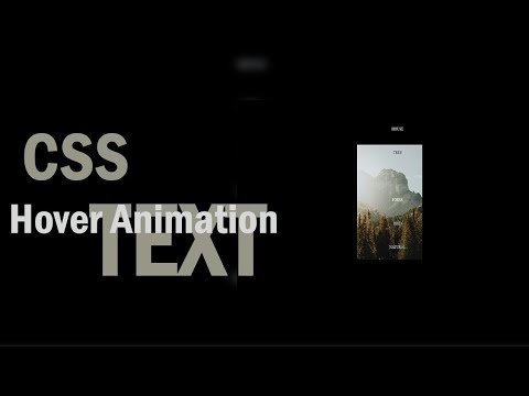 Hover Animation CSS Text