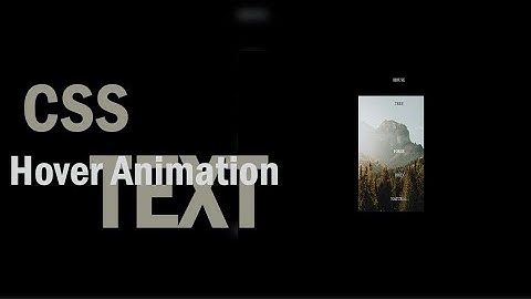 Hover Animation CSS Text