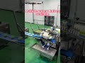 Automatic steamed bun production line for food factories.